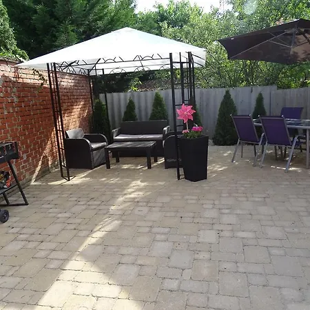 Dorothy 시오포크