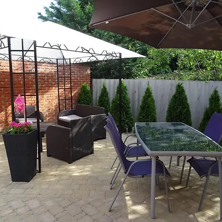 Dorothy 시오포크