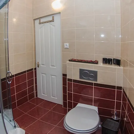 Dorothy 시오포크