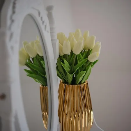 Dorothy * 시오포크